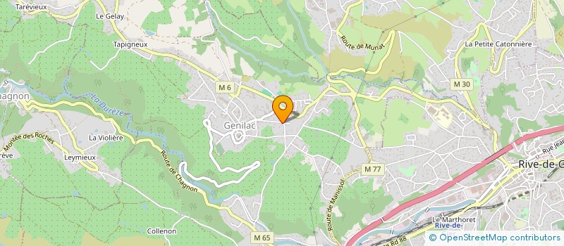 localisation de l'entreprise MONSIEUR MICHAEL FAYE  GENILAC