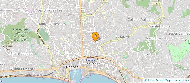 localisation de l'entreprise MONSIEUR MICHAEL GAYE à CANNES