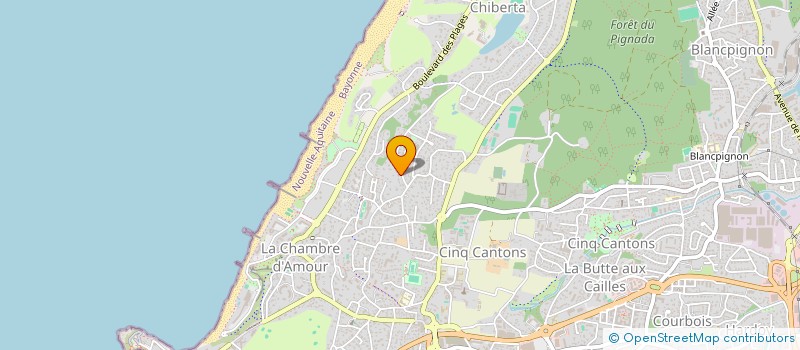 localisation de l'entreprise MONSIEUR MICHAEL GERRARD  ANGLET