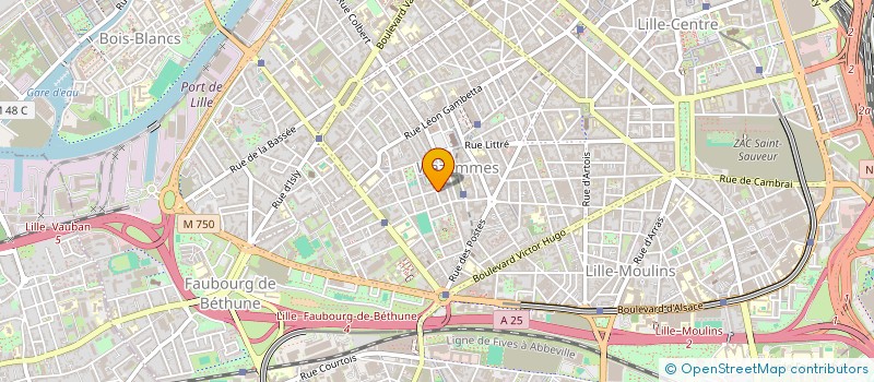 localisation de l'entreprise MONSIEUR MICHAEL GOGNIAT  LILLE