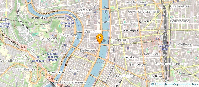 localisation de l'entreprise MONSIEUR MICHAEL GUILLE  LYON