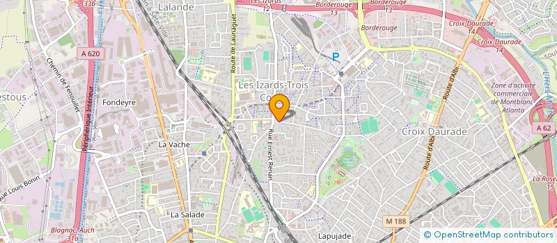 localisation de l'entreprise MONSIEUR MICHAEL HAMAN à TOULOUSE