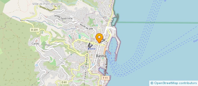 localisation de l'entreprise MONSIEUR MICHAEL LECCIA à BASTIA