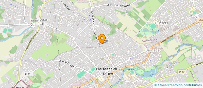 localisation de l'entreprise MONSIEUR MICHAEL LECHON  PLAISANCE-DU-TOUCH