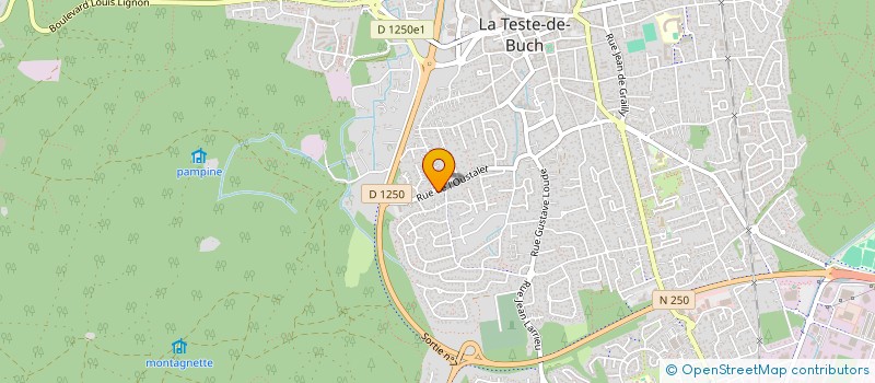 localisation de l'entreprise MONSIEUR MICHAEL LEVY à LA TESTE-DE-BUCH
