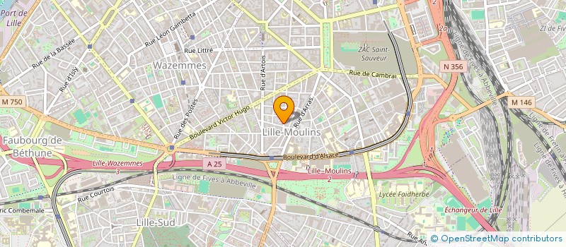 localisation de l'entreprise MONSIEUR MICHAEL LEYRAT-SAVIN  LILLE