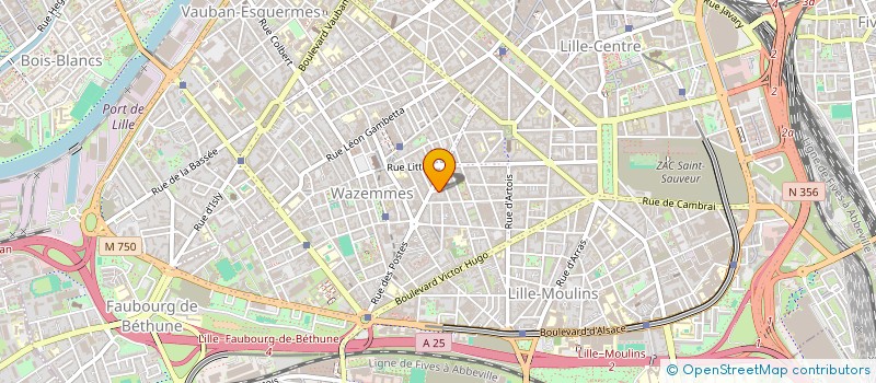 localisation de l'entreprise MONSIEUR MICHAEL LILIN FROMENT  LILLE