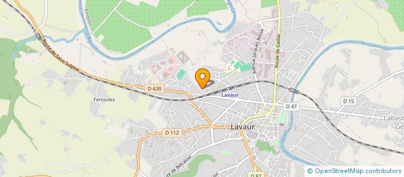 localisation de l'entreprise MONSIEUR MICHAEL LIOWICZ  LAVAUR