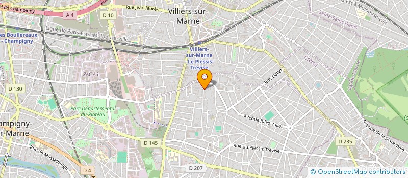 localisation de l'entreprise MONSIEUR MICHAEL MARTINS à CHAMPIGNY-SUR-MARNE