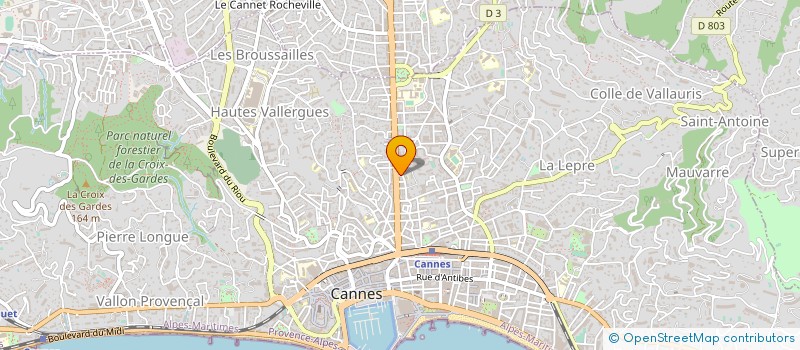 localisation de l'entreprise MONSIEUR MICHAEL MEYNIER à CANNES