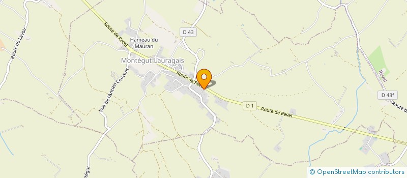 localisation de l'entreprise MONSIEUR MICHAEL MOISSEEFF à MONTEGUT-LAURAGAIS