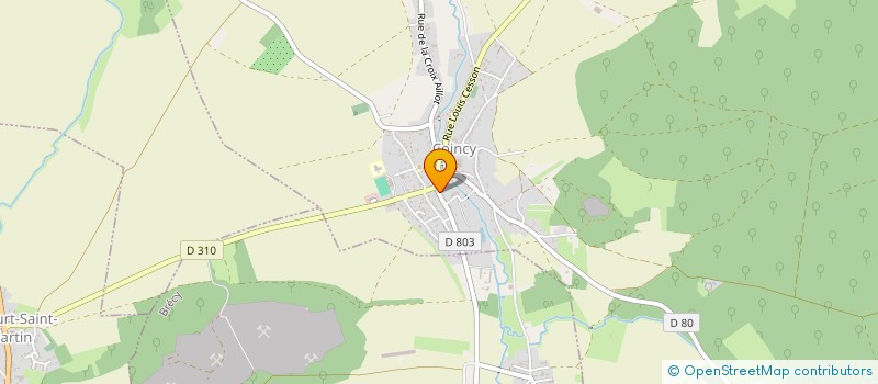 localisation de l'entreprise MONSIEUR MICHAEL O'LEARY  COINCY