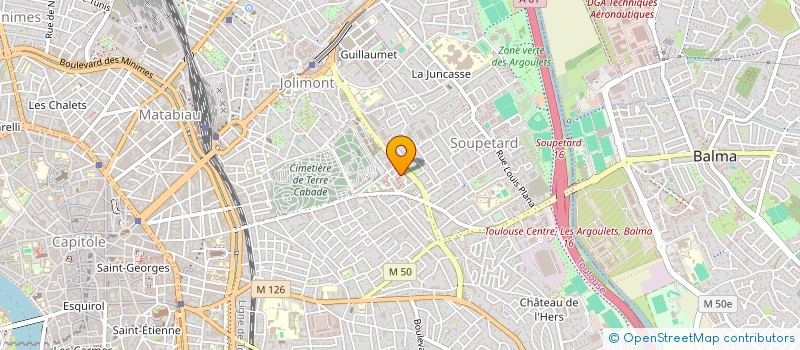 localisation de l'entreprise MONSIEUR MICHAEL PAPAFIO  TOULOUSE