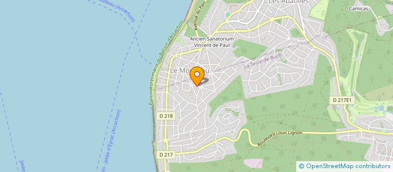 localisation de l'entreprise MONSIEUR MICHAEL PICHARD à LA TESTE DE BUCH