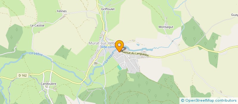 localisation de l'entreprise MONSIEUR MICHAEL PROENCA  MURAT-SUR-VEBRE