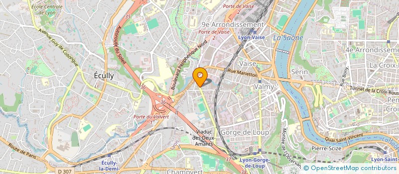 localisation de l'entreprise MONSIEUR MICHAEL RAZAFY  LYON