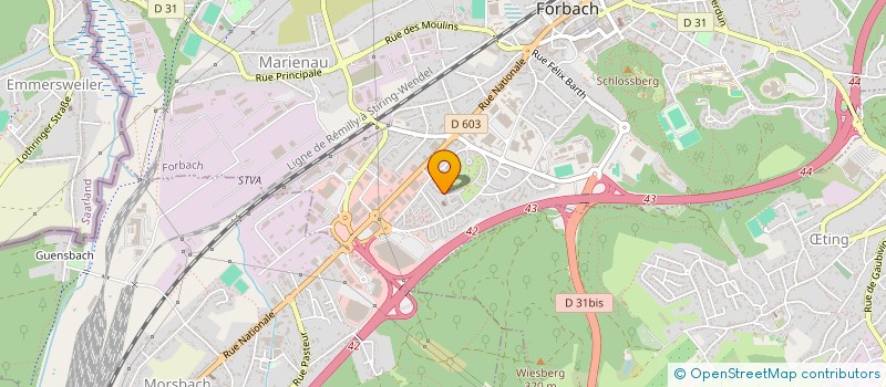 localisation de l'entreprise MONSIEUR MICHAEL REPIQUET  FORBACH