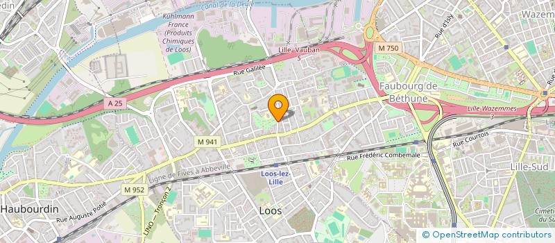 localisation de l'entreprise MONSIEUR MICHAEL RICHE  LOOS