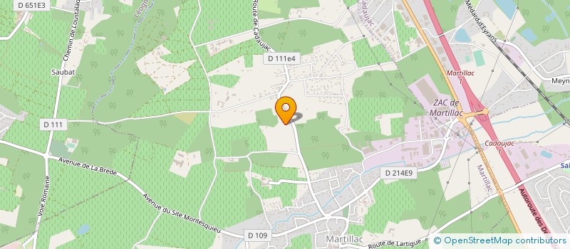 localisation de l'entreprise MONSIEUR MICHAEL ROSZAK  MARTILLAC