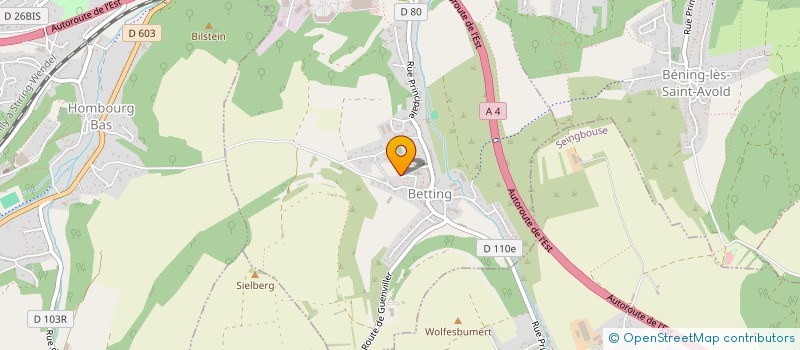 localisation de l'entreprise MONSIEUR MICHAEL SEIFERT  BETTING