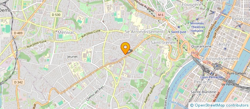 localisation de l'entreprise MONSIEUR MICHAEL TERESI  LYON