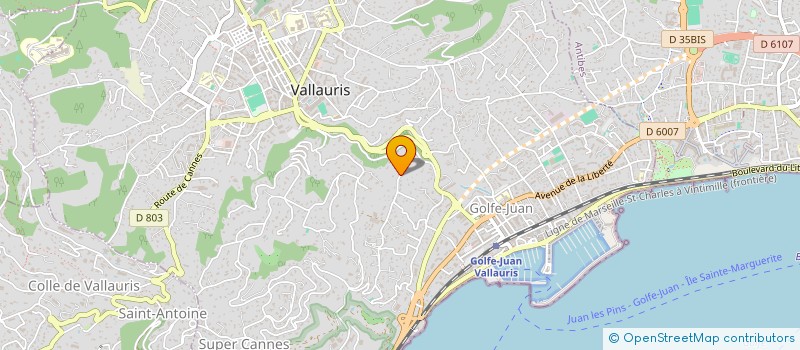 localisation de l'entreprise MONSIEUR MICHAEL VALENTINE  VALLAURIS