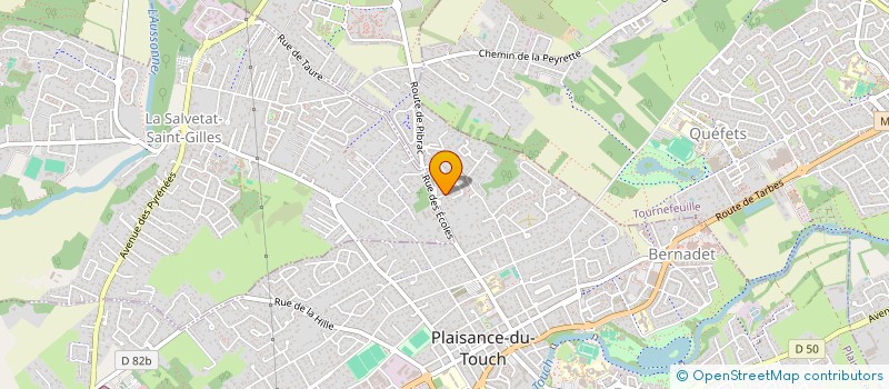 localisation de l'entreprise MONSIEUR MICHAEL VANHAM  PLAISANCE-DU-TOUCH