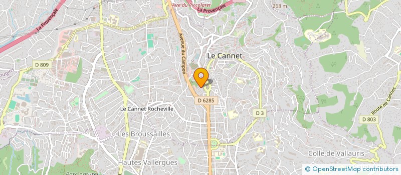 localisation de l'entreprise MONSIEUR MICHAEL VASSAUX à LE CANNET