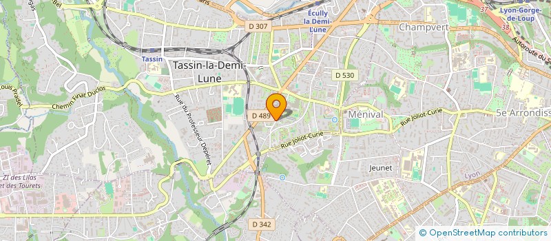 localisation de l'entreprise MONSIEUR MICHAEL VERNAY  TASSIN-LA-DEMI-LUNE