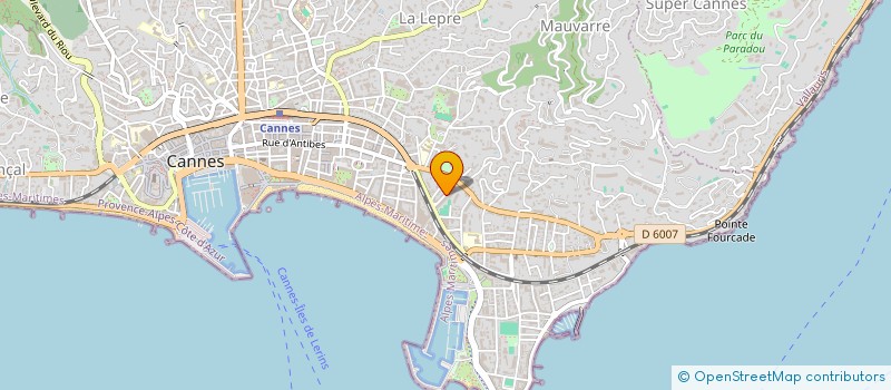 localisation de l'entreprise MONSIEUR MICHAEL ZIBI à CANNES