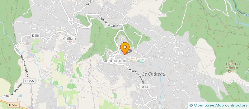 localisation de l'entreprise MONSIEUR MICHAL GALEWICZ  MONTAUROUX