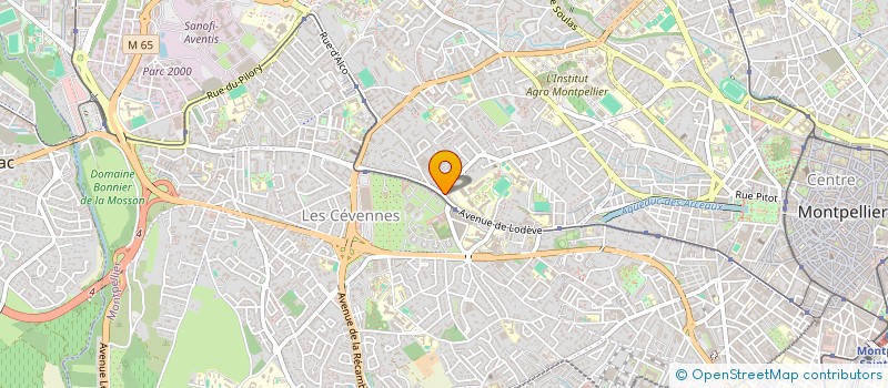 localisation de l'entreprise MONSIEUR MICHEE FOTOUO DZOUSSE  MONTPELLIER