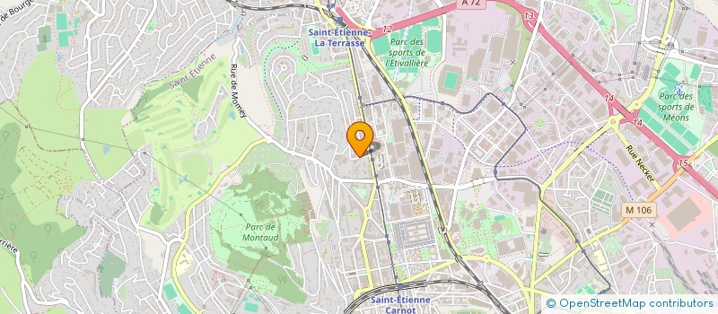 localisation de l'entreprise MONSIEUR MICHEL ABAUL  SAINT-ETIENNE