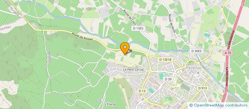 localisation de l'entreprise MONSIEUR MICHEL ALAZARD  PEZENAS