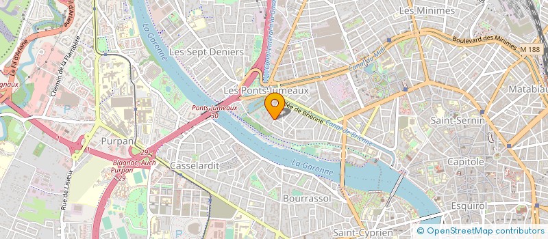 localisation de l'entreprise MONSIEUR MICHEL ALEGRE à TOULOUSE