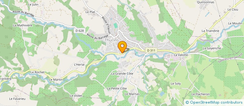 localisation de l'entreprise MONSIEUR MICHEL ALEXANDRE  THURINS