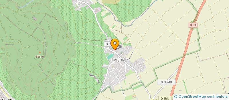 localisation de l'entreprise MONSIEUR MICHEL ALLIMANN  BERGHOLTZ