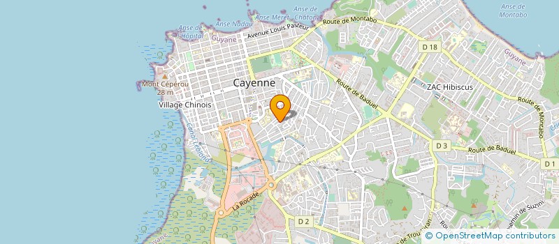 localisation de l'entreprise MONSIEUR MICHEL ALMONT  CAYENNE