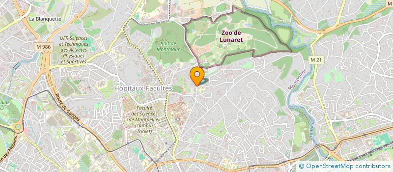localisation de l'entreprise MONSIEUR MICHEL AYMERICH à MONTPELLIER
