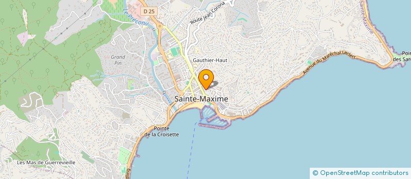 localisation de l'entreprise MONSIEUR MICHEL BAISSARD à SAINTE MAXIME