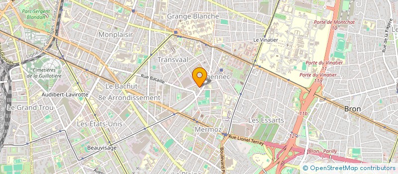 localisation de l'entreprise MONSIEUR MICHEL BASSET  LYON