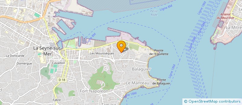 localisation de l'entreprise MONSIEUR MICHEL BAVIERA  LA SEYNE-SUR-MER