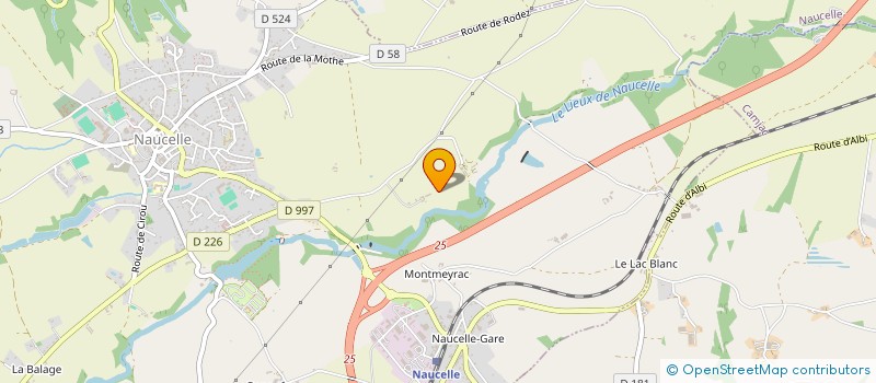 localisation de l'entreprise MONSIEUR MICHEL BENITEZ  NAUCELLE