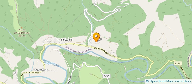 localisation de l'entreprise MONSIEUR MICHEL BERNADOU  MONTREDON-LABESSONNIE