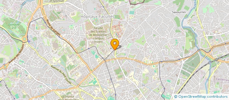 localisation de l'entreprise MONSIEUR MICHEL BERTES à MONTPELLIER