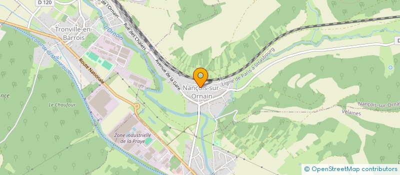 localisation de l'entreprise MONSIEUR MICHEL BERTHEMY à NANCOIS-SUR-ORNAIN