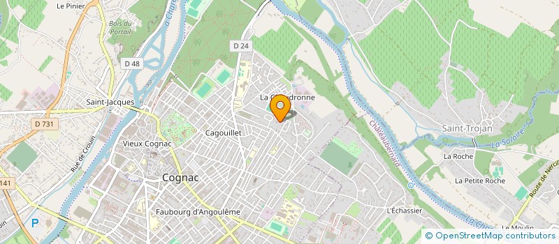 localisation de l'entreprise MONSIEUR MICHEL BESSE à COGNAC