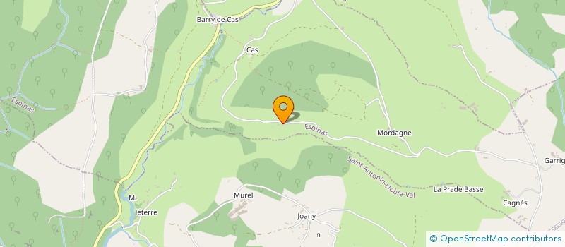 localisation de l'entreprise MONSIEUR MICHEL BESSEDE  ESPINAS