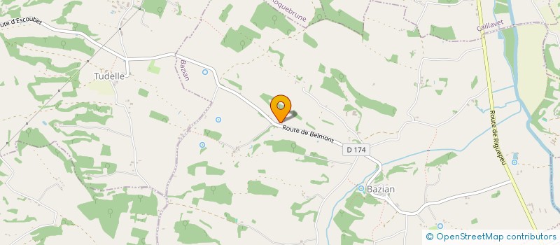 localisation de l'entreprise MONSIEUR MICHEL BIANE  PEYRUSSE-GRANDE