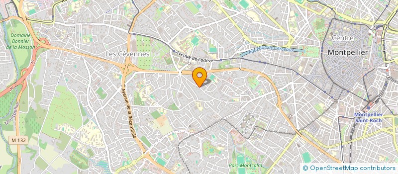 localisation de l'entreprise MONSIEUR MICHEL BIBBO à MONTPELLIER